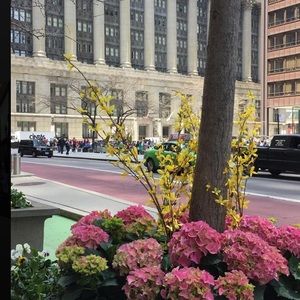 Meet your Posher, San